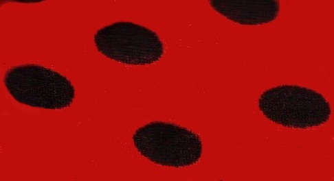 Red-BlackDots