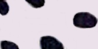 White-BlackDots