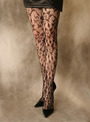 Exotic Fashion Lace Tights Exotic Fashion Lace Tights